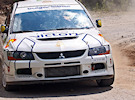 Petar Gyoshev/Dimitar Spasov - Mitsubishi Lancer RS Evolution IX